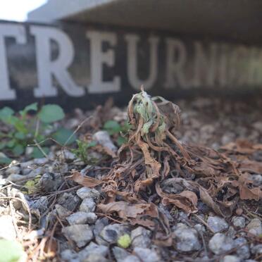 TREURNICHT Andries 1923-1987_2