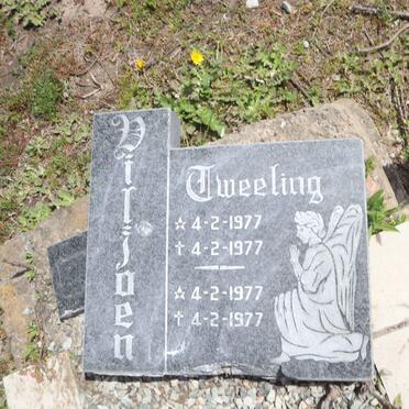 VILJOEN Tweeling 19977-1977