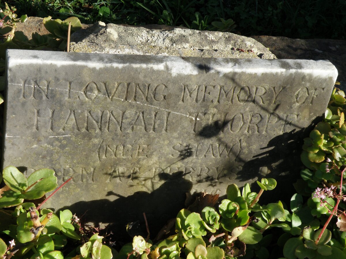 THORPE Hannah nee SHAW