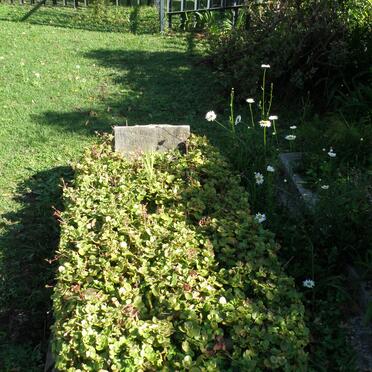 THORPE Hannah nee SHAW