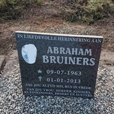 BRUINERS Abraham 1963-2013