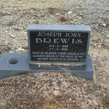 BREWIS Joseph John 1996-1996