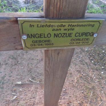 CUPIDO Angelo Nozue 1985-2012