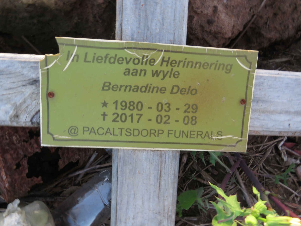 DELO Bernadine 1980-2017