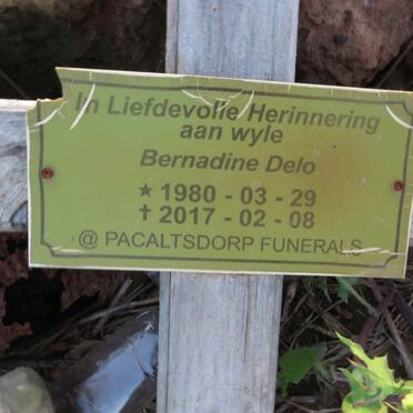 DELO Bernadine 1980-2017