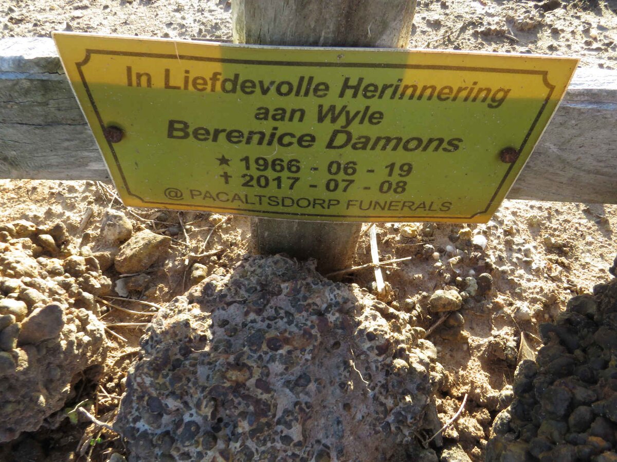 DAMONS Berenice 1966-2017