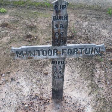 FORTUIN Mintoor 1970-2014