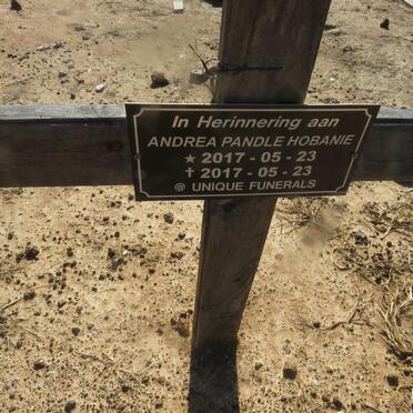 HOBANIE Andrea Pandle 2017-2017