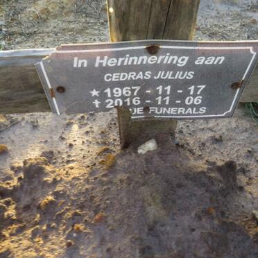 JULIUS Cedras 1967-2016