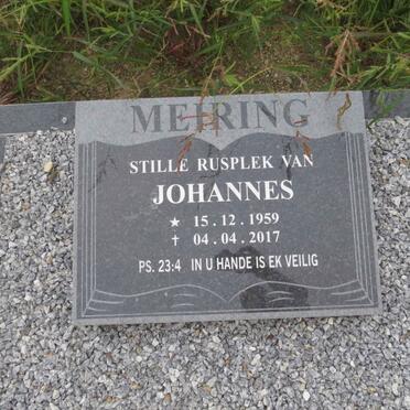 MEIRING Johannes 1959-2017