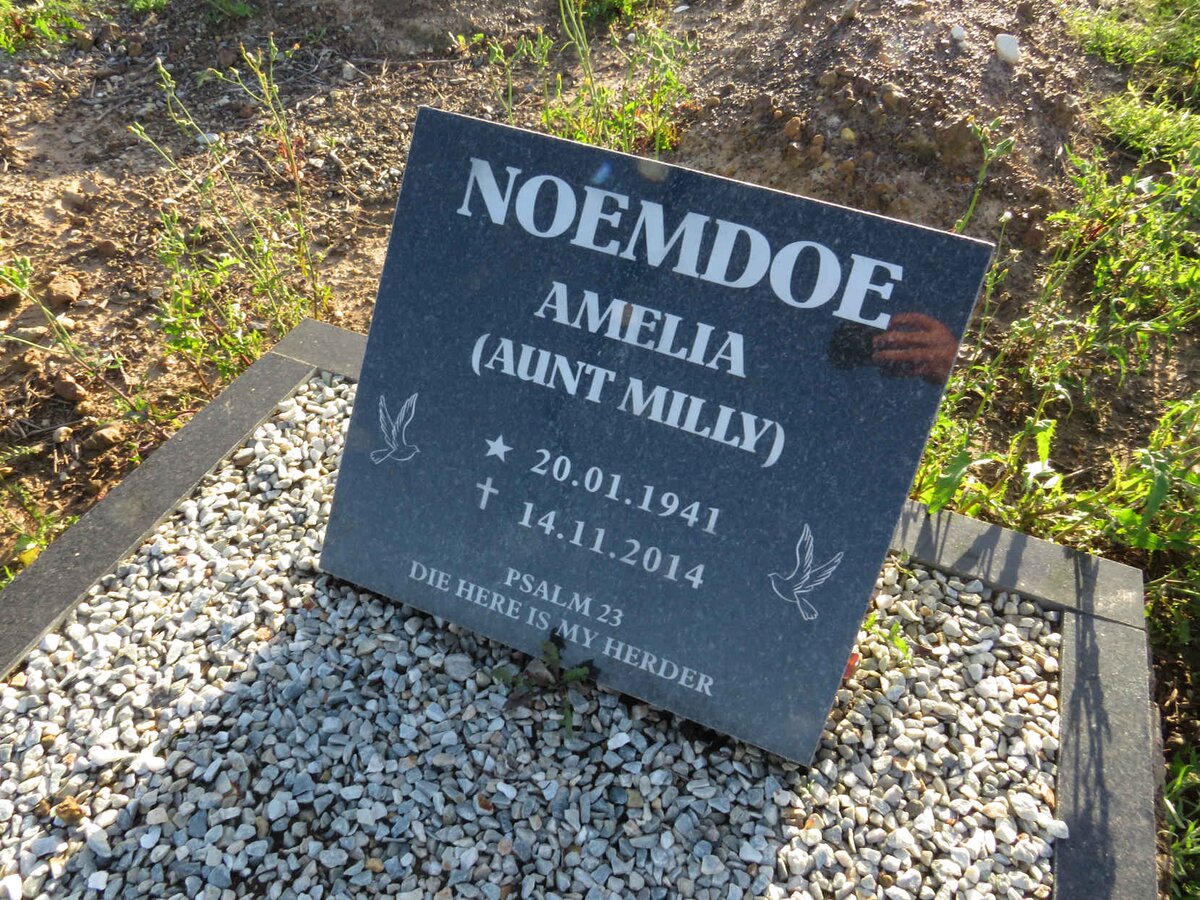 NOEMDOE Amelia 1941-2014