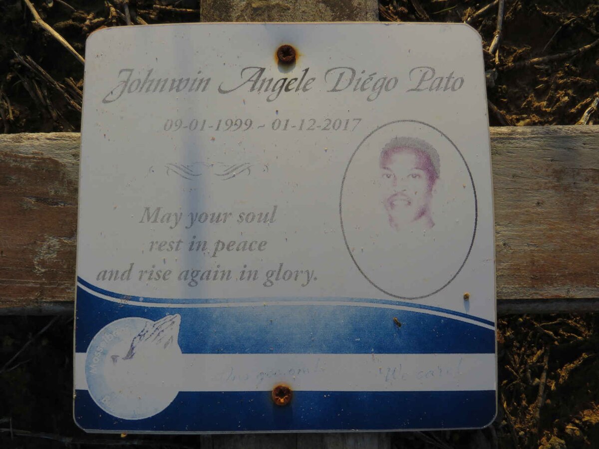 PATO Johnwin Angele Diego 1999-2017