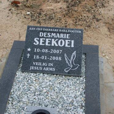 SEEKOEI Desmarie 2007-2008