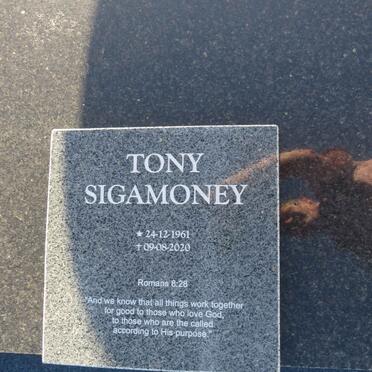 SIGAMONEY Tony 1961-2020
