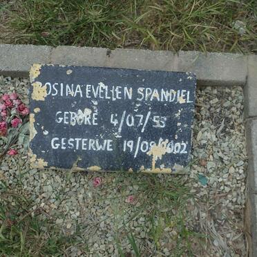 SPANDIEL ?osina Evelien 1953-2002