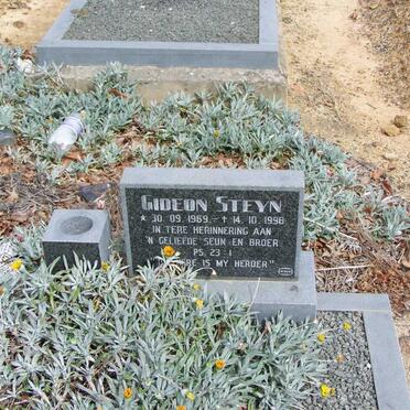 STEYN Gideon 1969-1998
