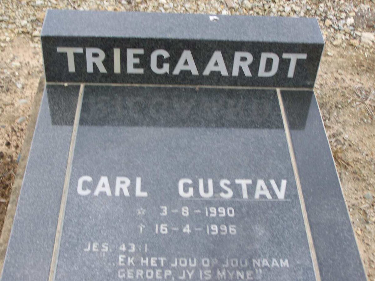TRIEGAARDT Carl Gustav 1990-1995