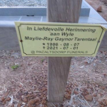 TARENTAAL Maylie-Ray Gaynor 1986-2021