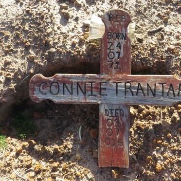 TRANTAAL Connie 1971-2016