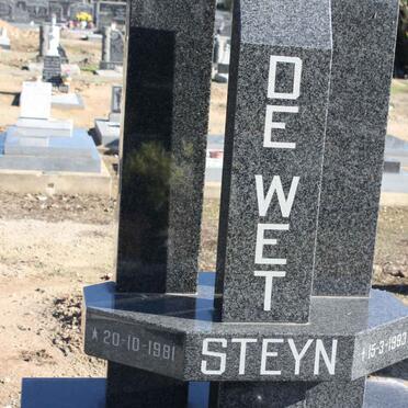 WET Steyn, de 1981-1993