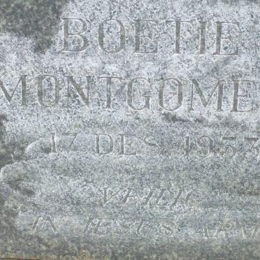 MONTGOMERY Boetie -1953