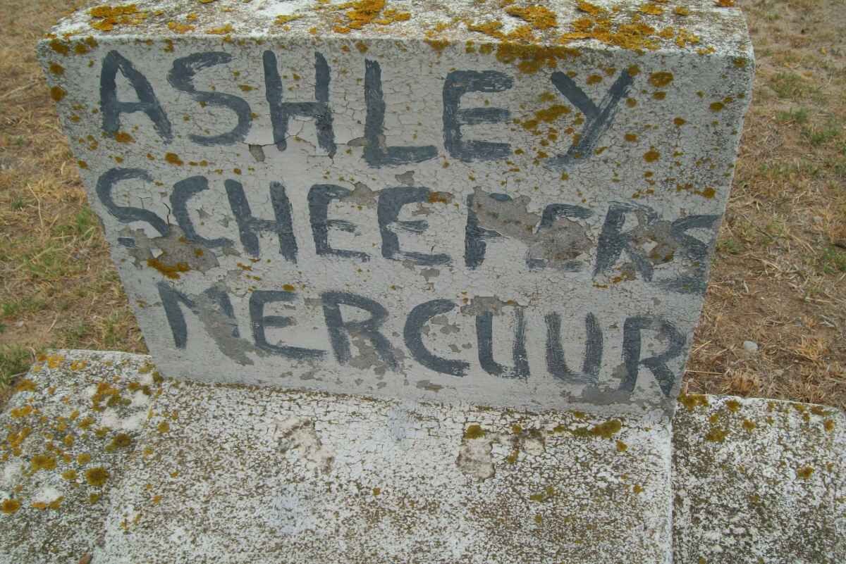 MERCUUR Ashley Scheepers