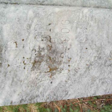 MULLER A.P. 1906-1981 &amp; G.J. 1897-1983 