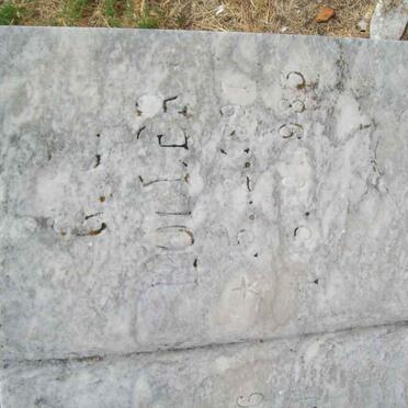 MULLER G.J. 1897-1983