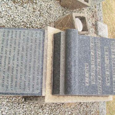 TUDOR John 1875-1943