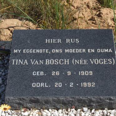 BOSCH Tina nee VOGES, van 1909-1992