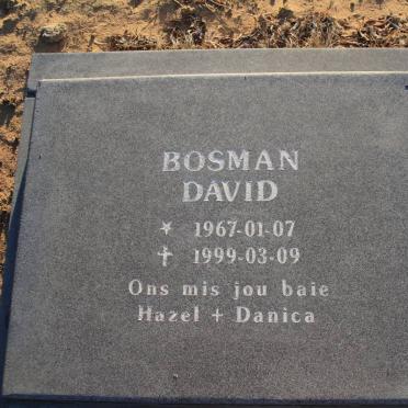 BOSMAN David 1967-1999