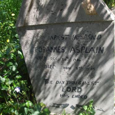 ASPLAIN Johannes 1904-1955