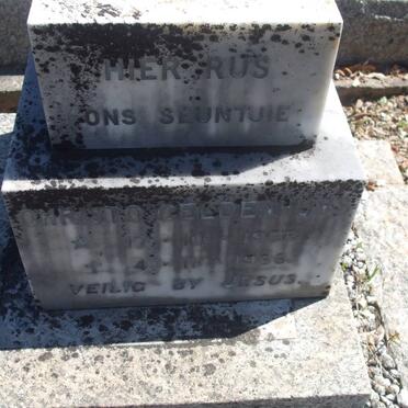 GELDENHUYS Christo 1966-1966