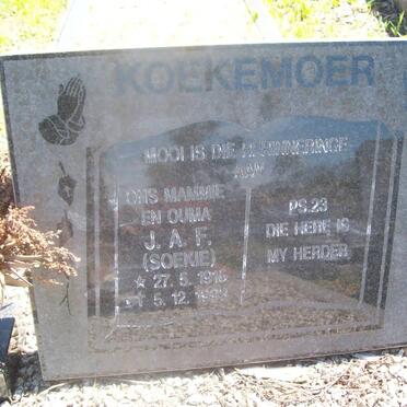 KOEKEMOER J.A.F. 1916-1993