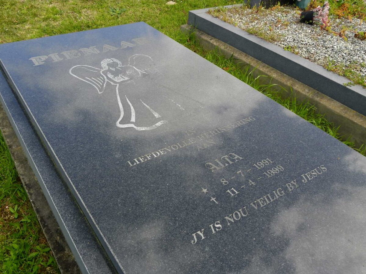 PIENAAR Alta 1991-1999