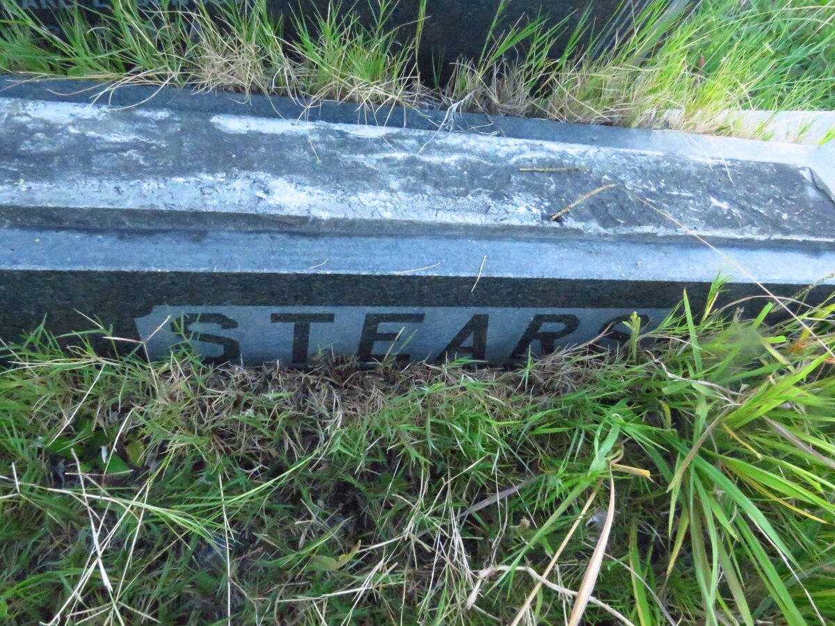 STEARS