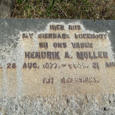 MULLER Hendrik A. 1877-1941