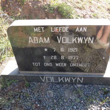 VOLKWYN Adam 1921-1977