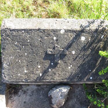 REMAS Stephanus 192?-19??