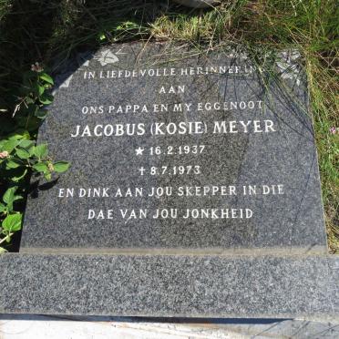 MEYER Jacobus 1937-1973