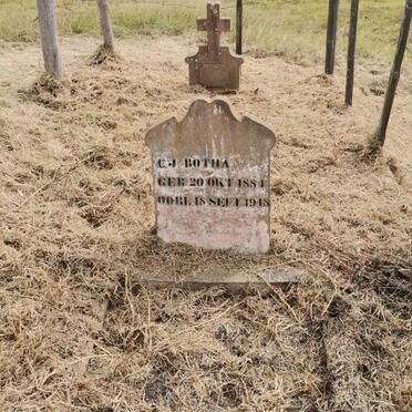 2. Overview / Oorsig