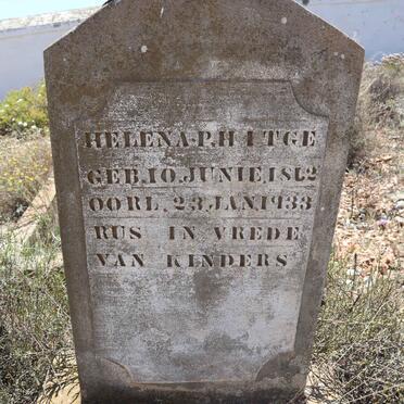 HITGE Helena P. 1862-1933