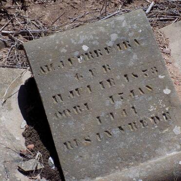 FERREIRA A.M.J. 1873-1941