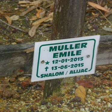 MULLER Emile 2015-2015