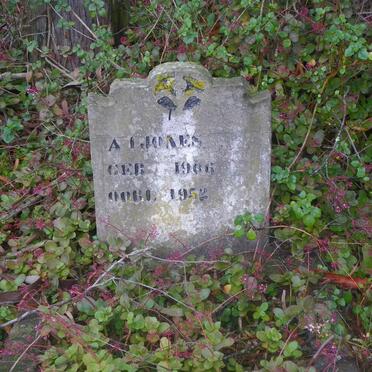 JONES A.I. 1906-1952