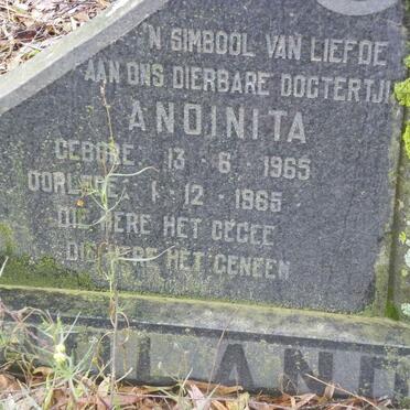 HOLAND Anoinita 1965-1965