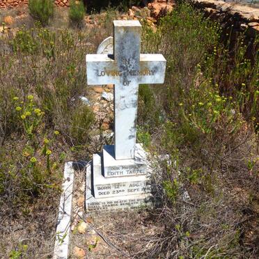 TAUTE Edith 1861-1940