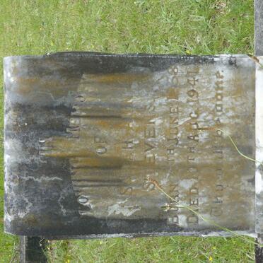 STEVENS Sarah Ann 1858-1941