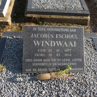 WINDWAAI Jacobus Eschoul 1977-2014