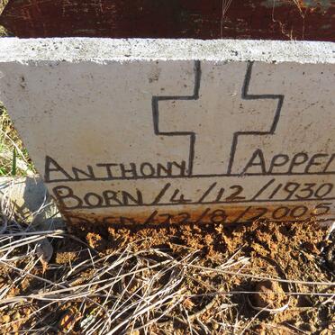 APPELS Anthony 1930-2005
